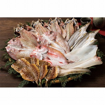 qrEG_ uBCNЂ̋lv (SA-100NF)